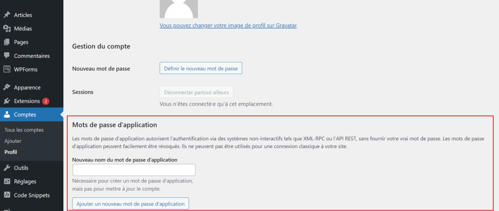 WordPress mot de passe API